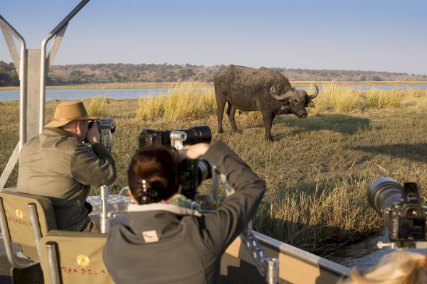 botswana-chobe-nationalpark-andbeyond-chobe-under-canvas-bootsafari-tierbeobachtung