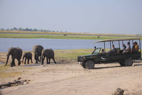 botswana-chobe-nationalpark-andbeyond-chobe-under-canvas-pirschfahrt