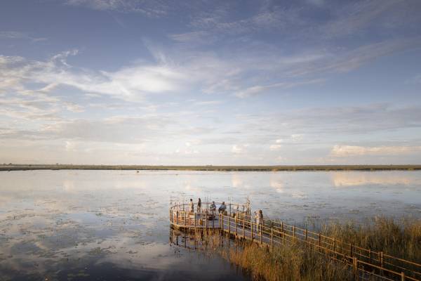 botswana-linyanti-dumatau-camp-impression-4