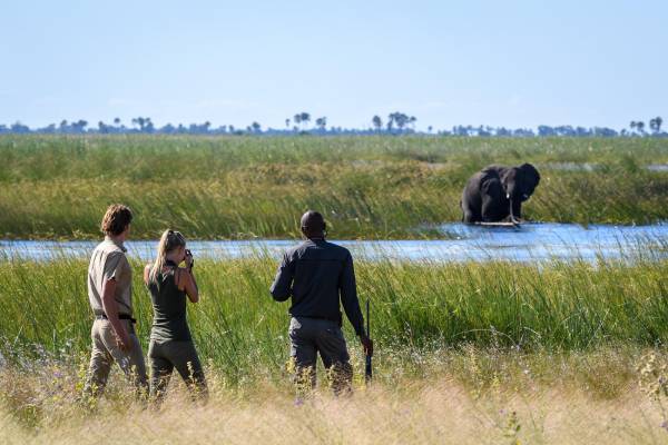 botswana-linyanti-dumatau-camp-wandersafari