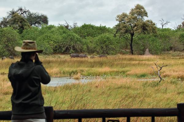 botswana-moremi-game-reserve-belmond-khwai-river-lodge-wildtierbeobachtung