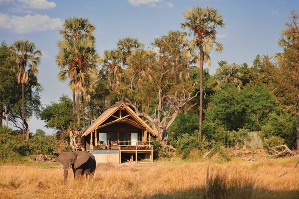 Belmond Safaris, Eagle Island Lodge, Okavango, Botswana.