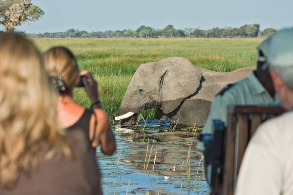 botswana-okavango-delta-belmond-eagle-island-lodge-safari-elefant