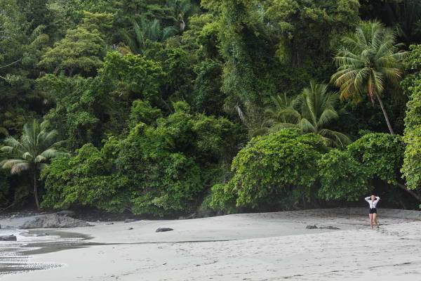 costa-rica-arenas-del-mar-beachfront-and-rainforest-resort-paradies-unter-palmen