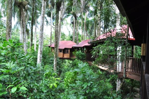 dominikanische-republik-rancho-platon-dominican-expert