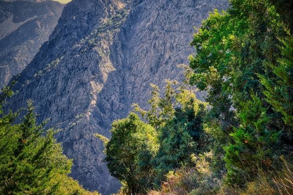 griechenland-kreta-samaria-schlucht-pixabay-5845320-albrecht-fietz