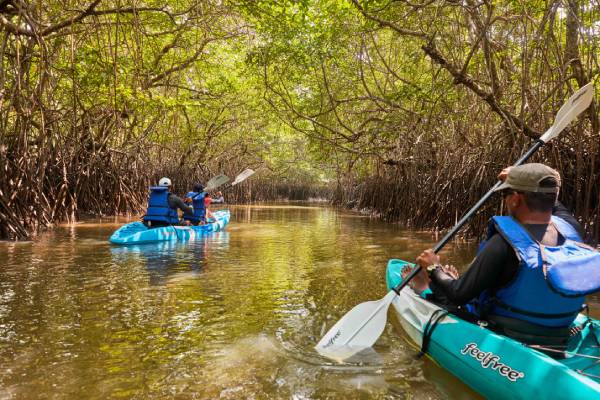 indien-andamenen-taj-exotica-resort-spa-andamans-kajak-mangroven