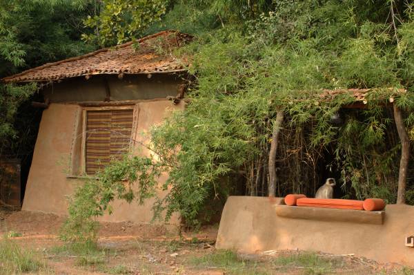 indien-bandhavgarh-national-park-aahua-kothi-a-taj-safari-lodge