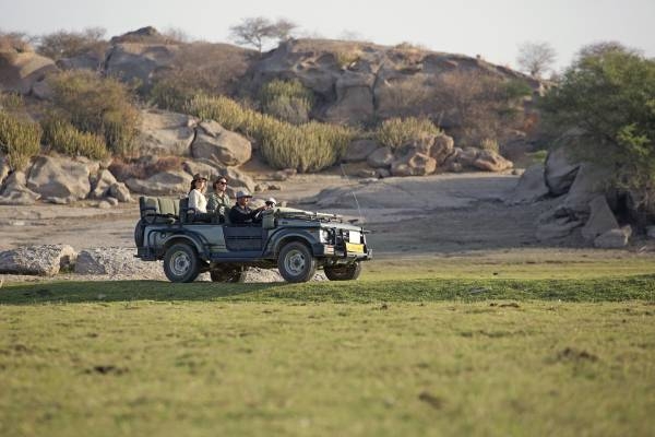 indien-jawai-bandh-suján-jawai-pirschfahrten auf einer Indien Luxusreise kann man im Suján Jawai spannende Safaris erleben