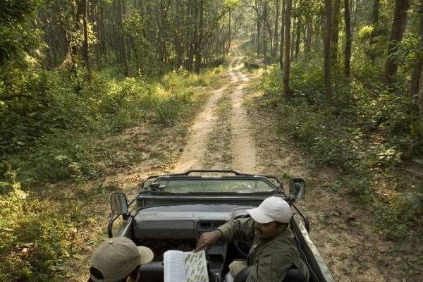 indien-kanha-nationalpark-banjaar-tola-a-taj-safari-safari-impression