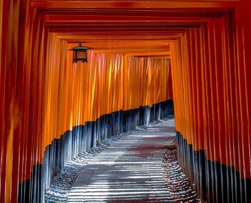 auf einer Japan Individualreise kann man den Fushimi Inari Taisha in Kyoto bewundern