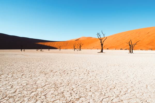 namibia-andBeyond-sossusvlei-excursion-Deadvlei