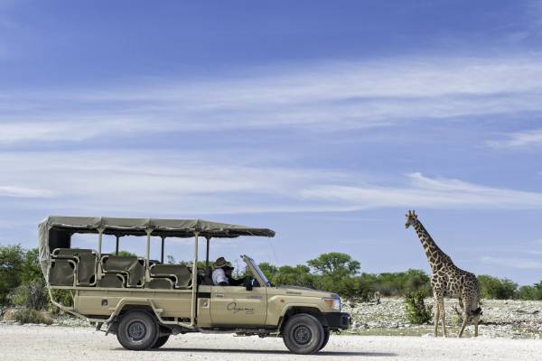 namibia-onguma-etosha-game-drive-2