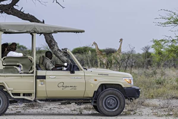 namibia-onguma-etosha-game-drive-3