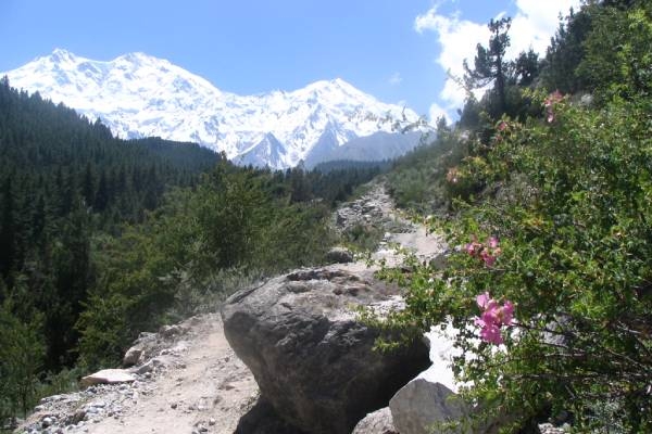 Pakistan Trekking - auf dem Weg zur Märchenwiese