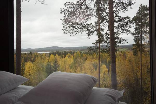 schweden-treehotel-dragonfly-ausblick