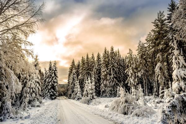 schweden-winterimpression-pigoff-photography-zSGFGTed0zw-unsplash