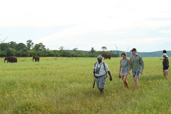 simbabwe-lake-kariba-bumi-hills-safari-lodge-wandersafari