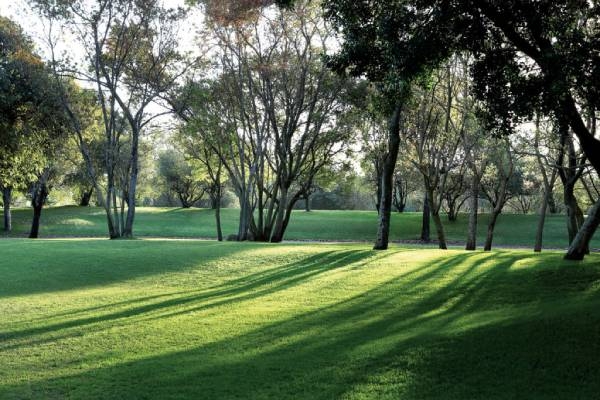 suedafrika-johannesburg-saxon-hotel-garten-impression