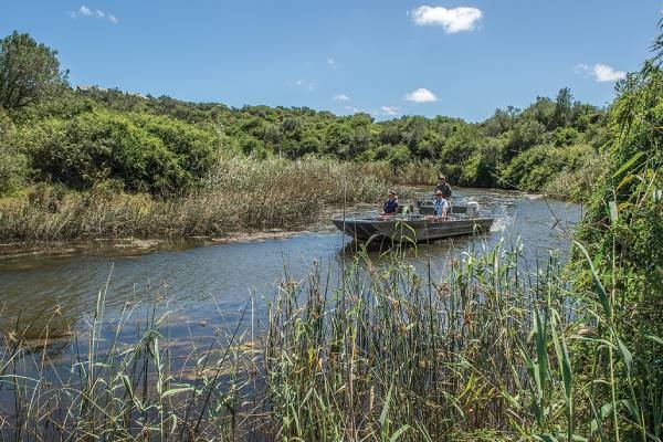 suedafrika-kariega-private-game-reserve-settlers-drift-flusssafari