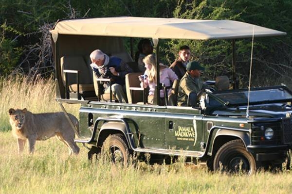 suedafrika-madikwe-game-reserve-jamala-madikwe-safari