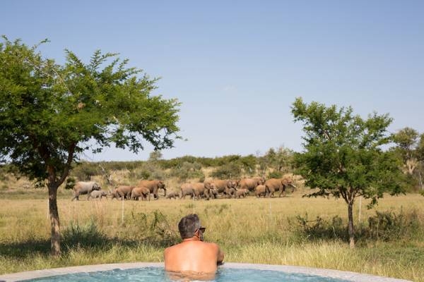 suedafrika-madikwe-game-reserve-jamala-madikwe-villa-pool-ausblick