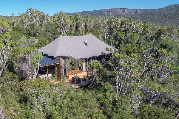 südafrika-kariega- private-game-reserve-settlers-drift-luxuslodge