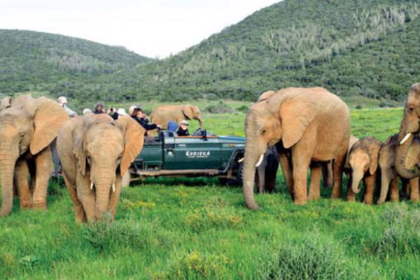 südafrika-kariega- private-game-reserve-settlers-drift-safari-2
