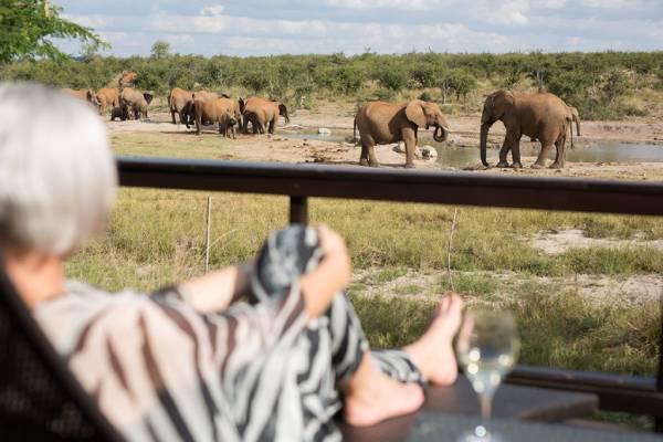 südafrika-madikwe-game-reserve-jamala-madikwe-ausblick-elefantenherde
