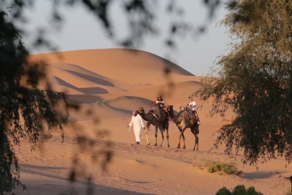 vereinigte-arabische-emirate-liwa-oase-kamelritt-in-der-wüste-emily-liang-zwKnSdydEZA-unsplash